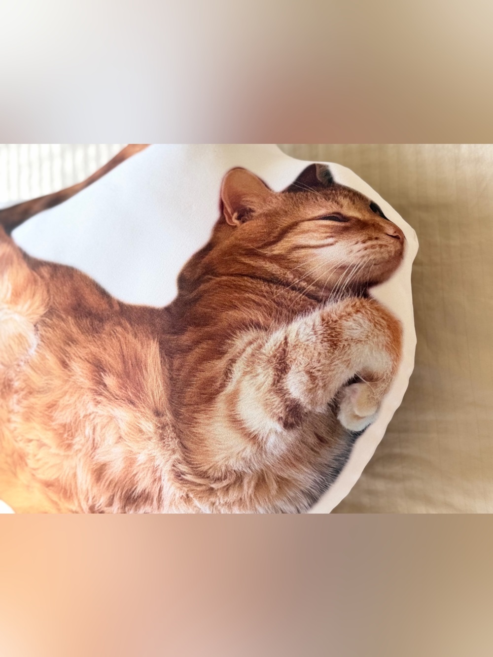 Plush Ginger Cat Shaped Pet Pillow - Decorative Cat Cushion (Ginger) - Picture 3 of 6